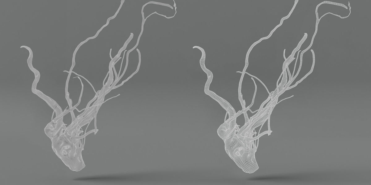 Photorealistic Scaper Root Low-poly 3D model_2