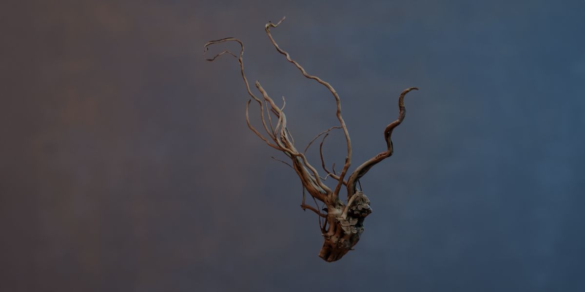 Photorealistic Scaper Root Low-poly 3D model_4