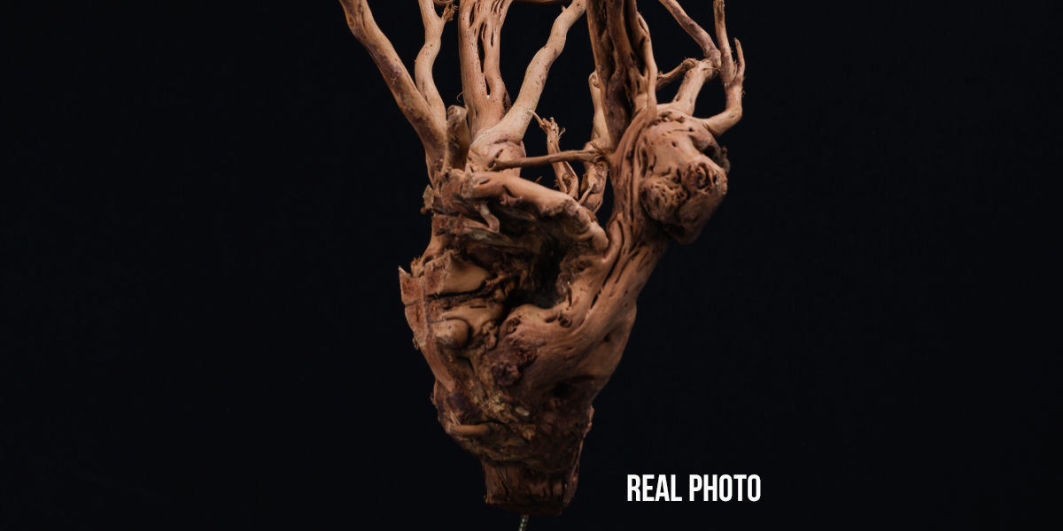 Photorealistic Scaper Root Low-poly 3D model_8