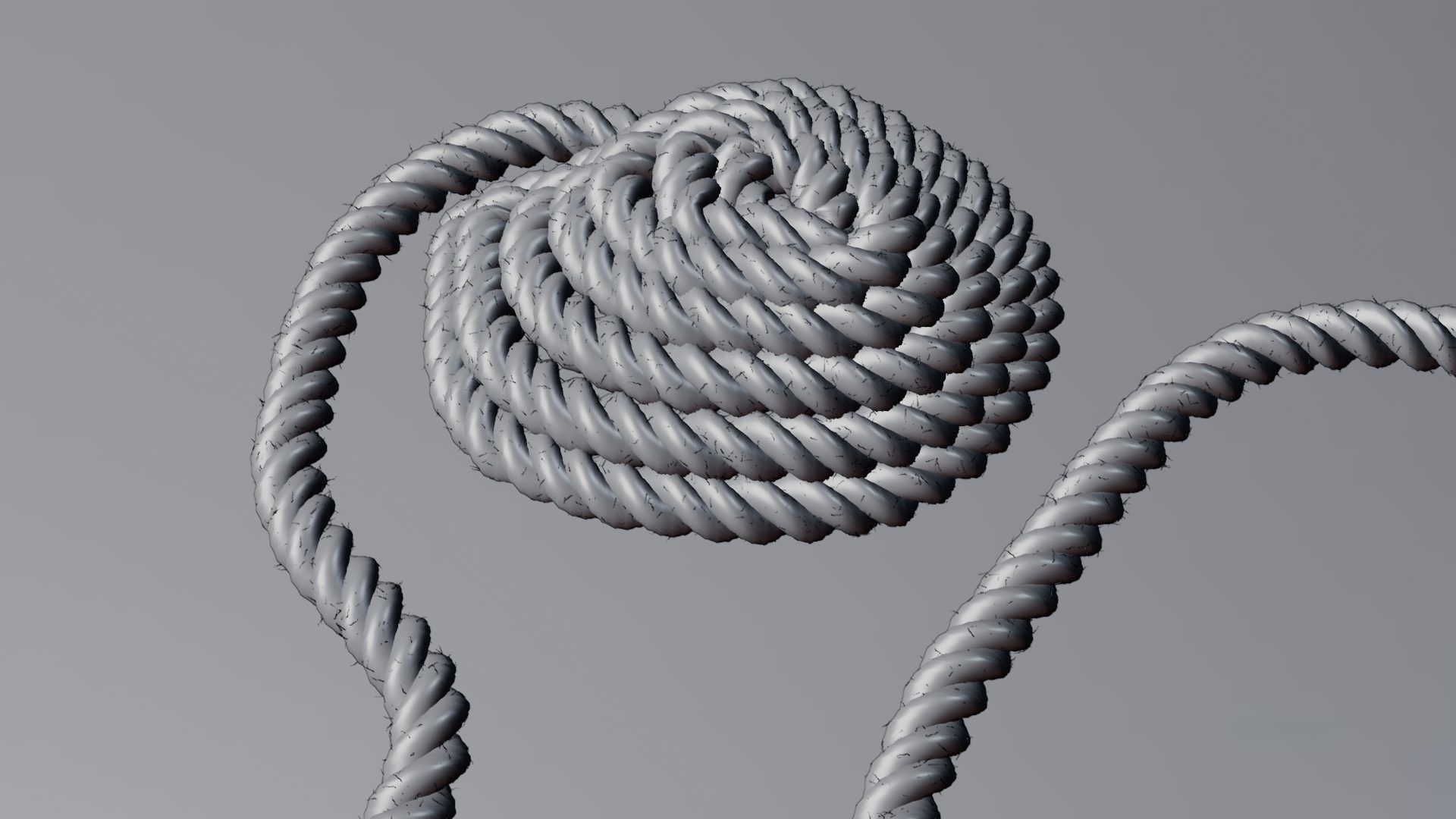 Customizable Rope - Geometry Nodes  3D model_10