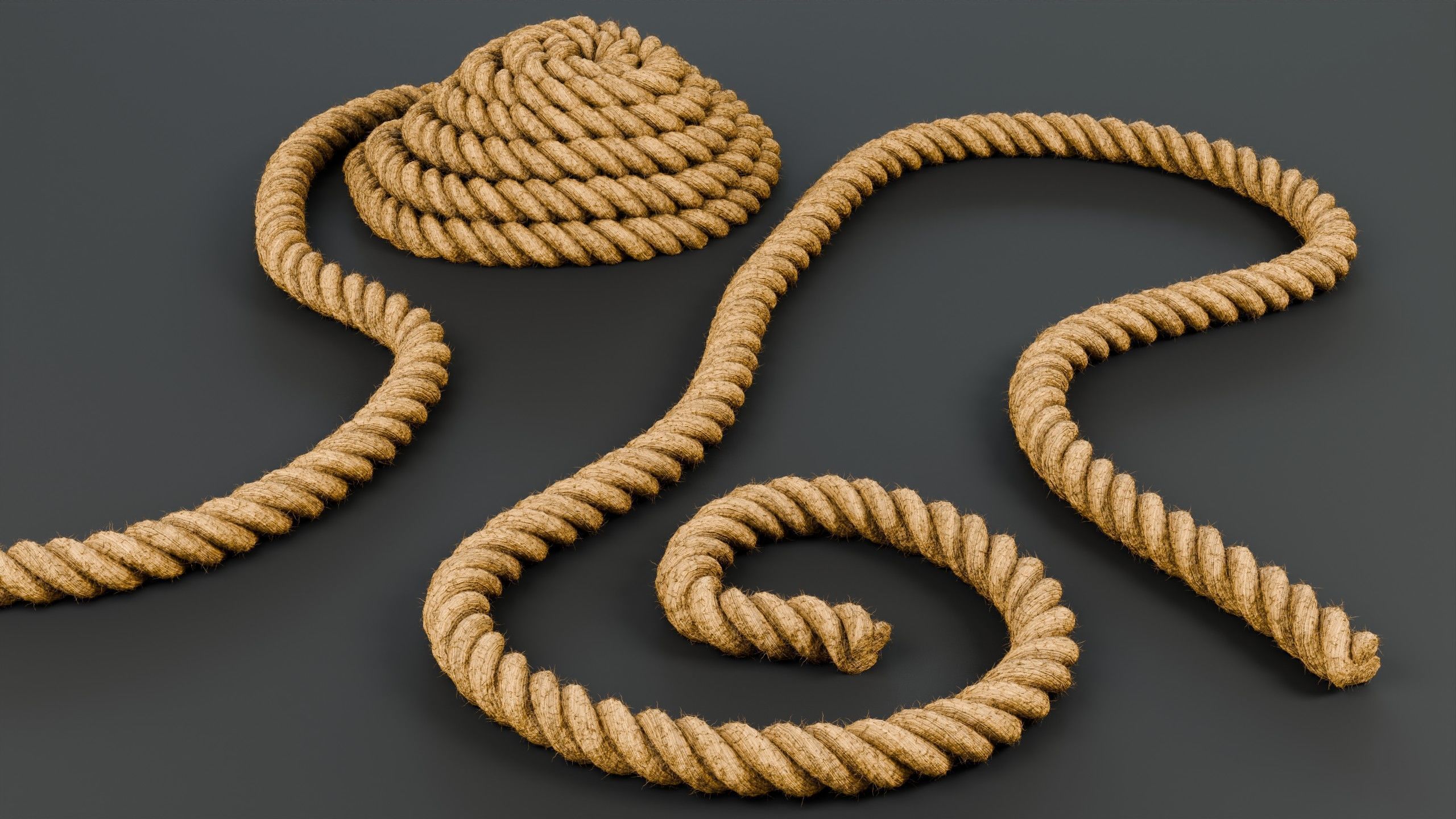 Customizable Rope - Geometry Nodes  3D model_6