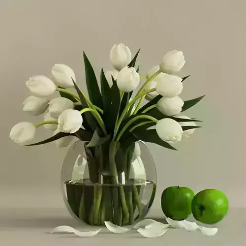 White Tulips Flowers