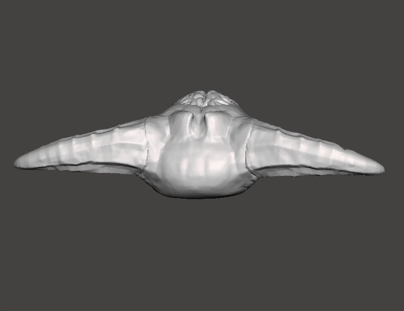 IDOL OF SIN CLASSIC MINIATURE MODEL FIGURE FANTASY SCIFI RPG DND 3D print model_5