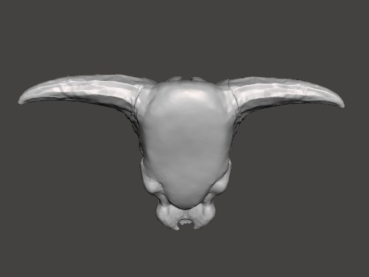 IDOL OF SIN CLASSIC MINIATURE MODEL FIGURE FANTASY SCIFI RPG DND 3D print model_7