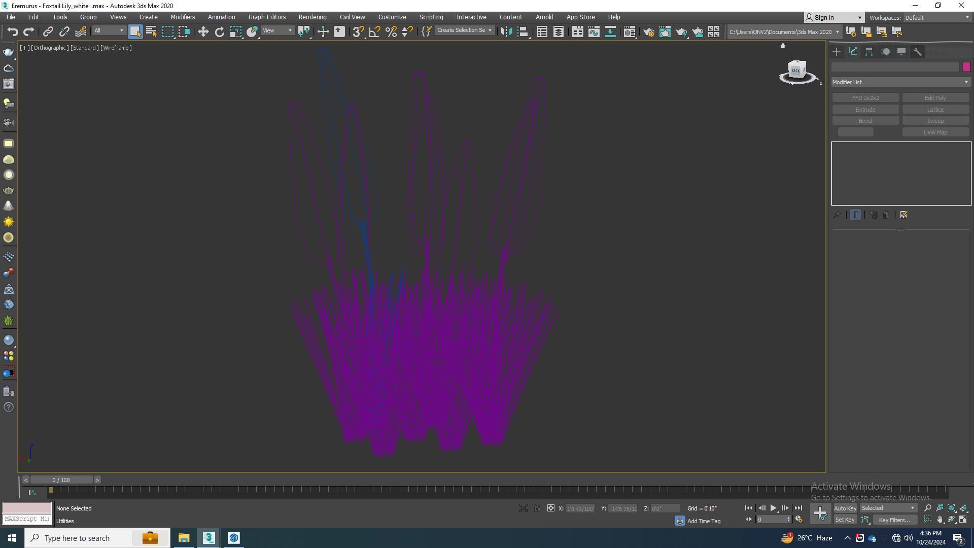 Plant  Eremurus - Foxtail Lily  White Low-poly 3D model_6