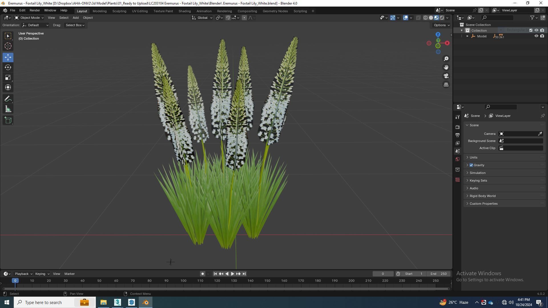Plant  Eremurus - Foxtail Lily  White Low-poly 3D model_5