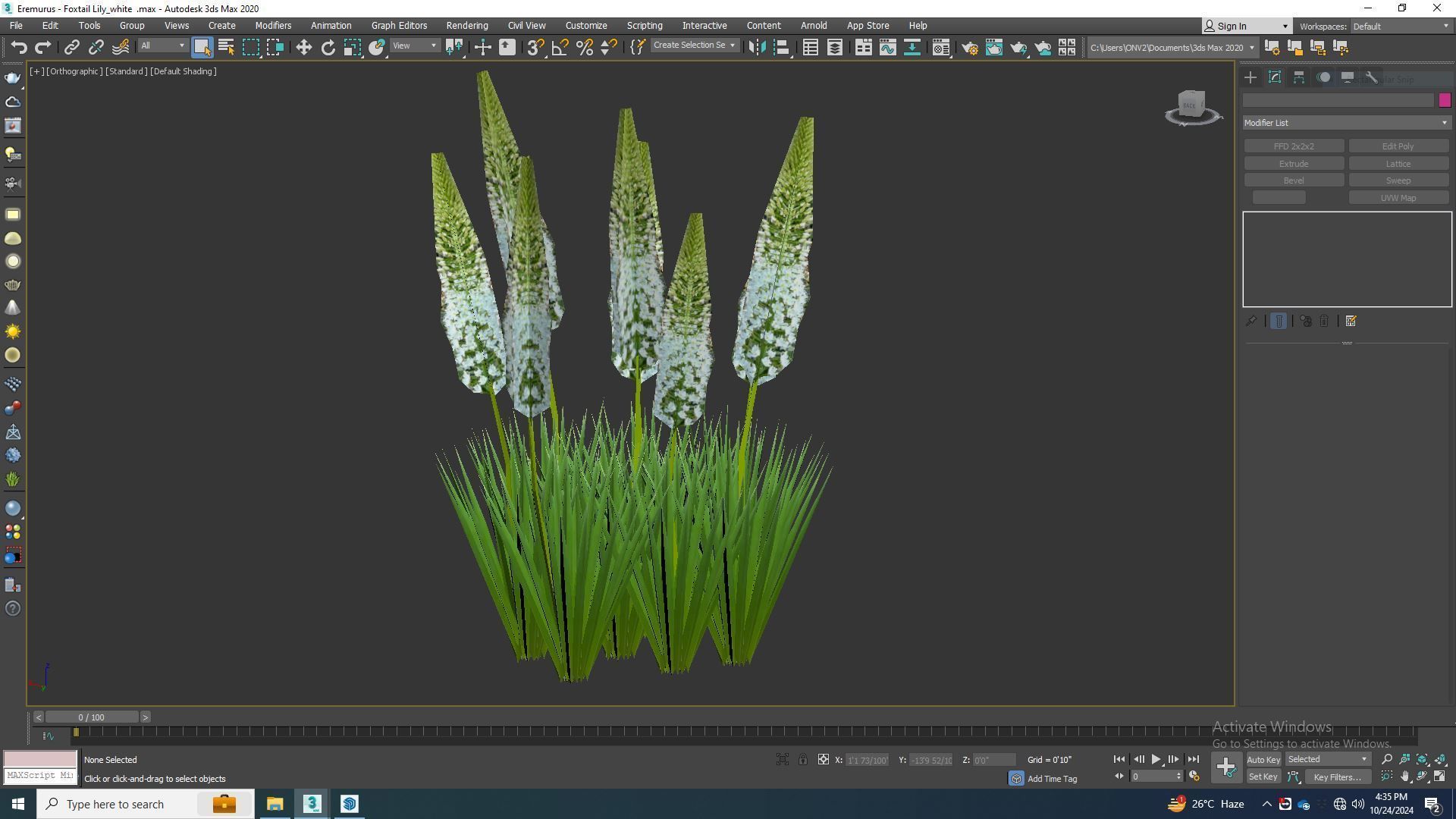Plant  Eremurus - Foxtail Lily  White Low-poly 3D model_7