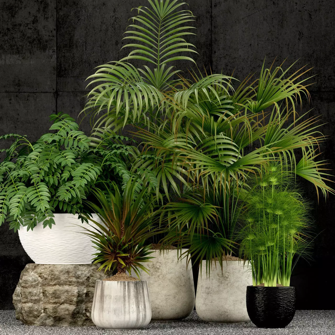 Plant 4 Free 3D model