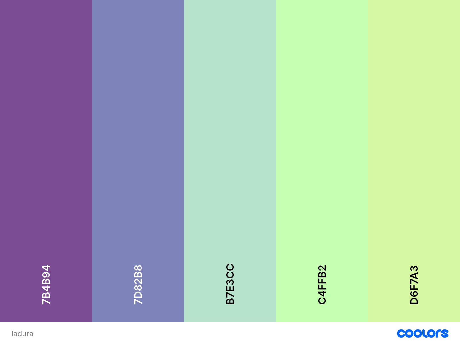 laduree paris 3D model_10