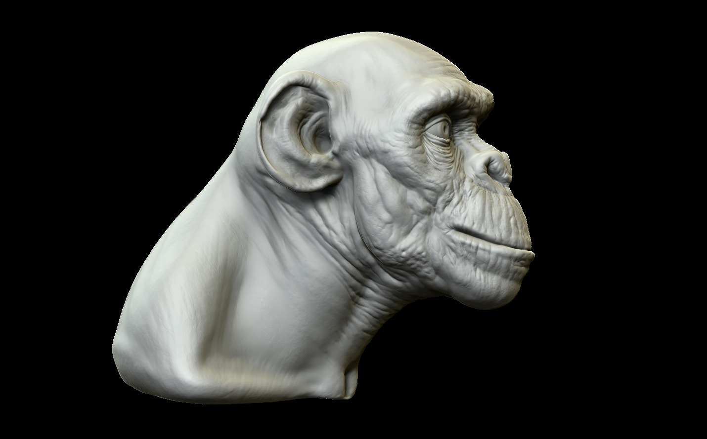 Ape Bust Free 3D print model_4