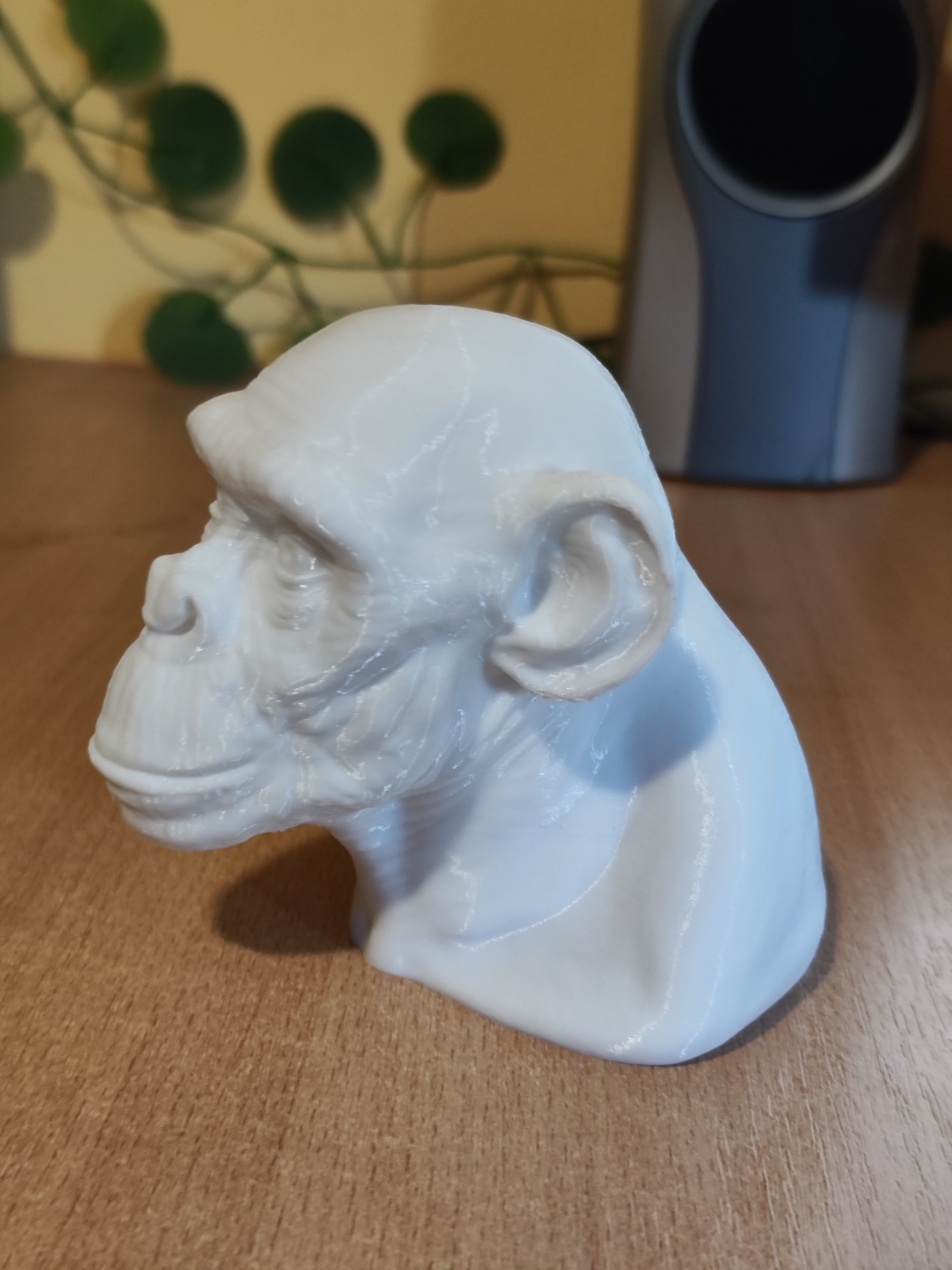 Ape Bust Free 3D print model_6