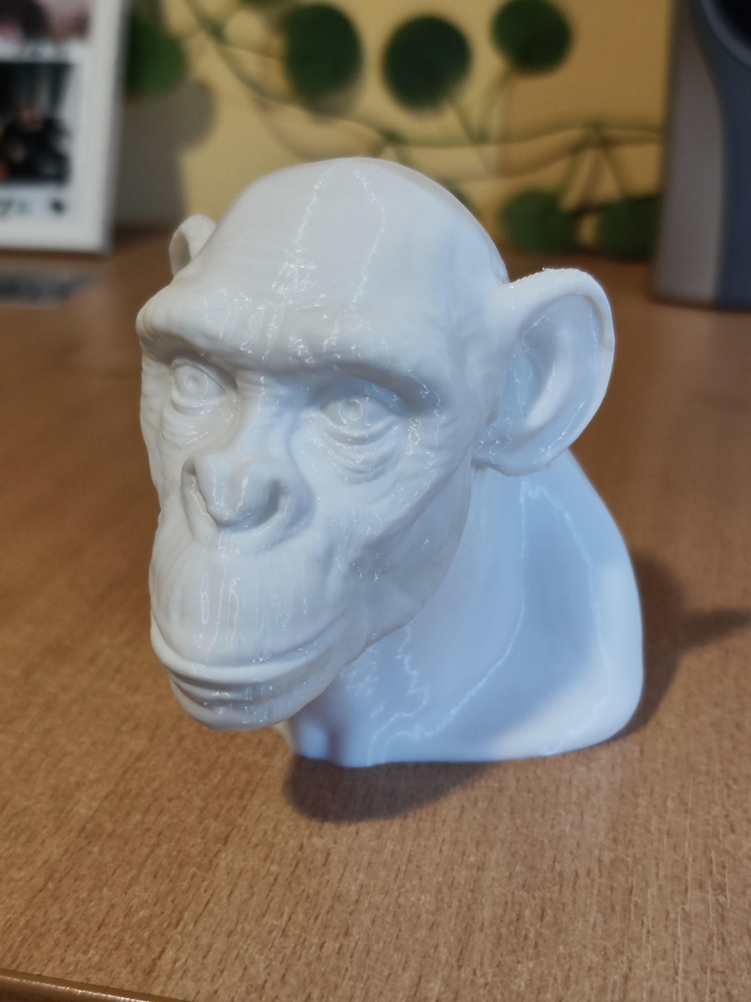 Ape Bust Free 3D print model_5