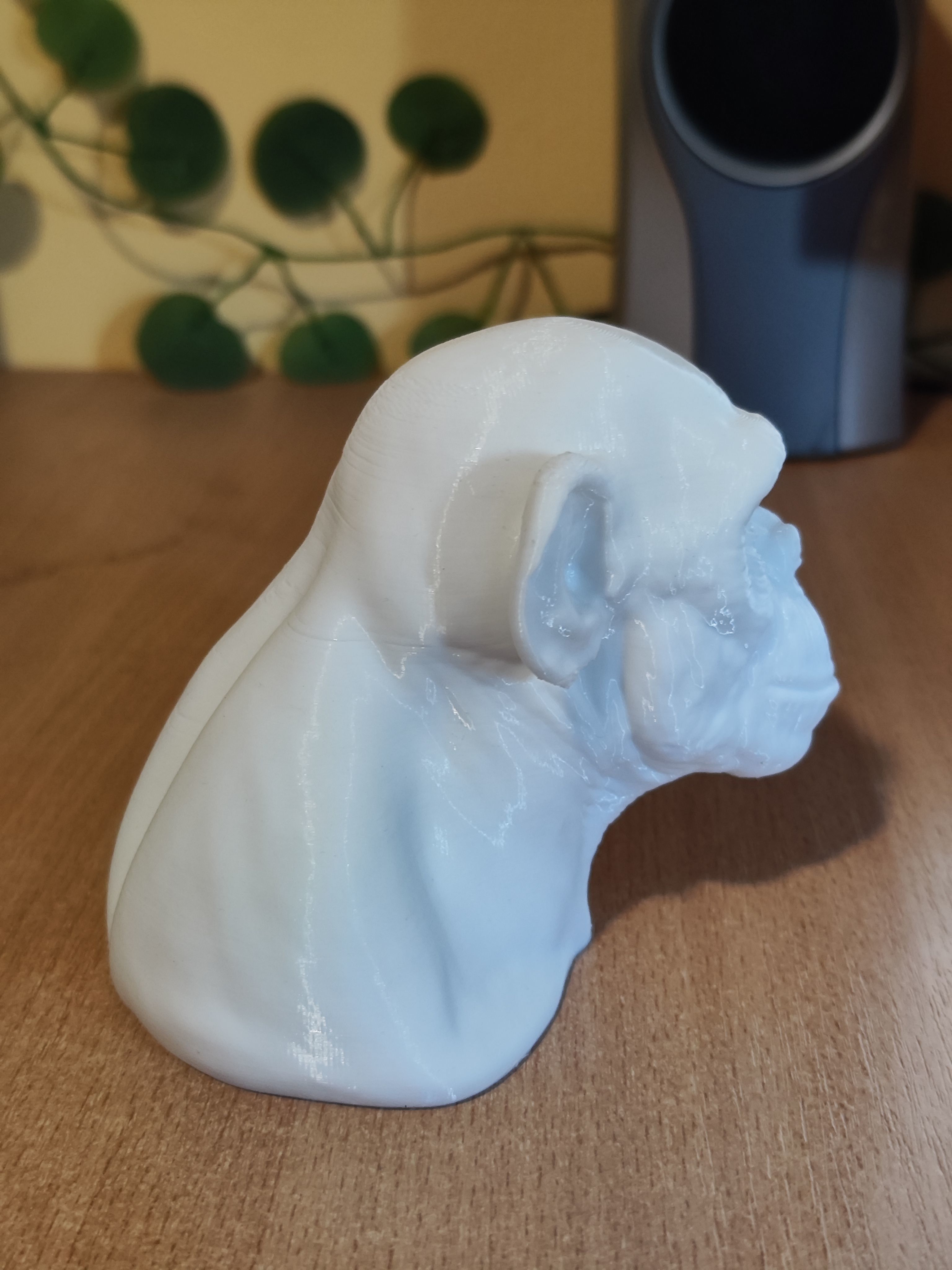 Ape Bust Free 3D print model_8
