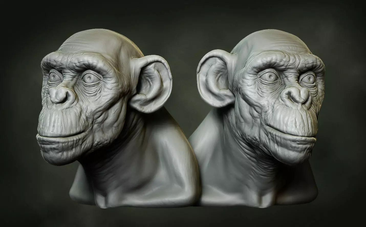 Ape Bust Free 3D print model_0