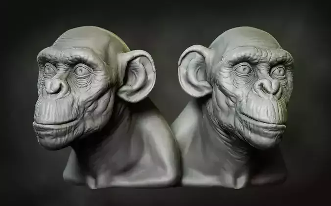 Ape Bust Free 3D print model