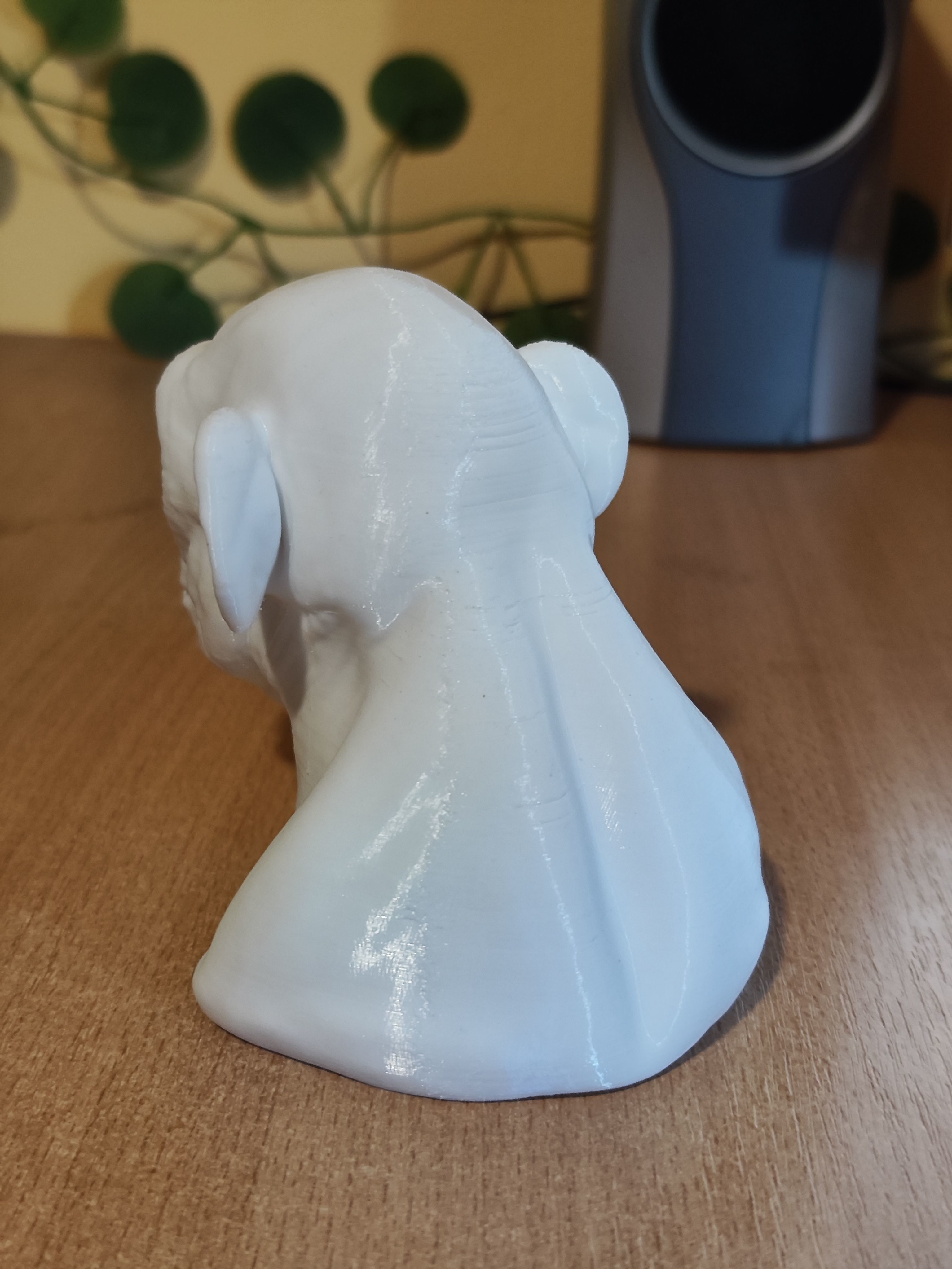 Ape Bust Free 3D print model_7