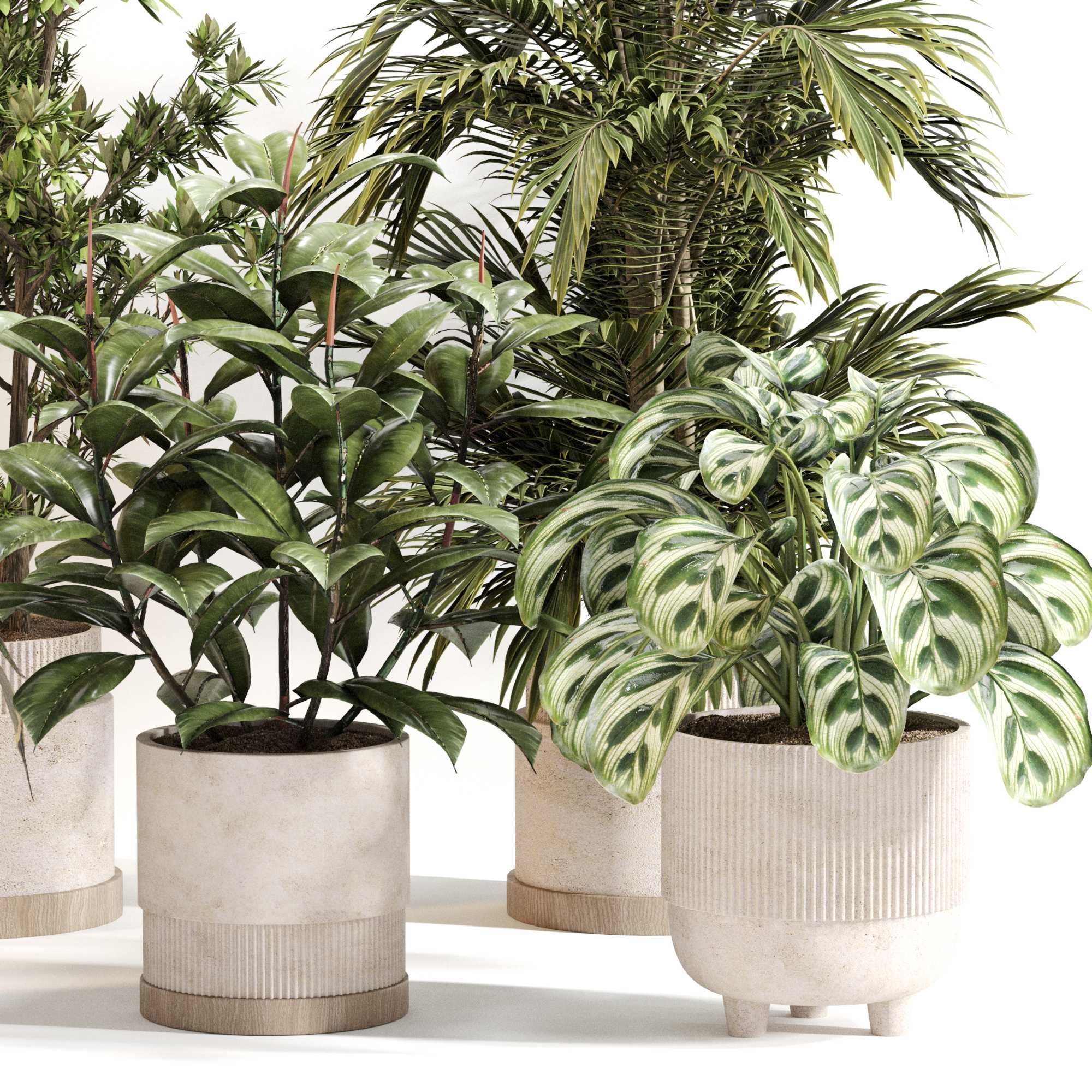 Indoor Plant Set 0116 3D model_2