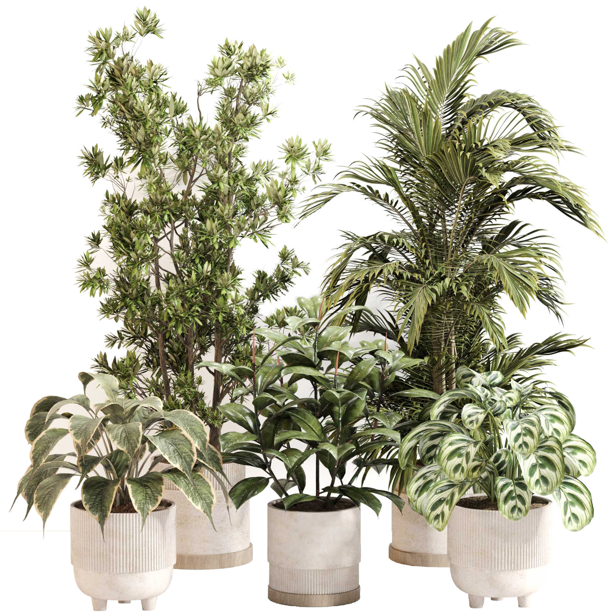 Indoor Plant Set 0116 3D model_1