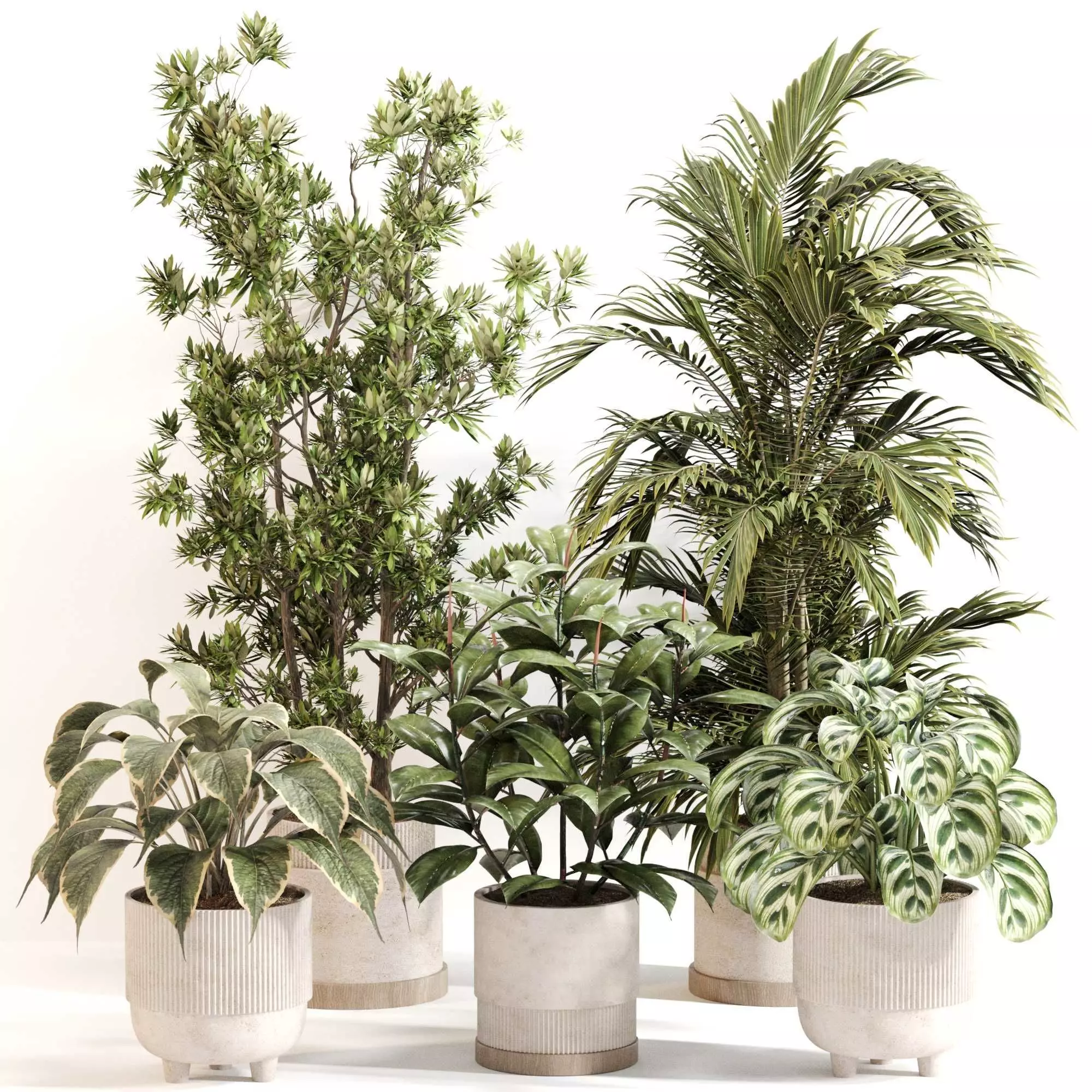 Indoor Plant Set 0116 3D model_0