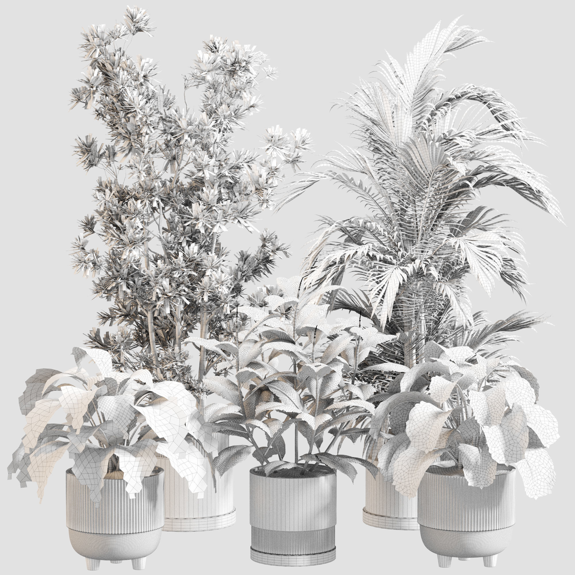 Indoor Plant Set 0116 3D model_5