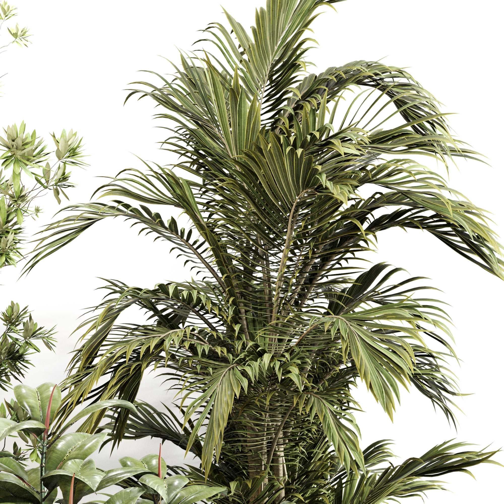 Indoor Plant Set 0116 3D model_3