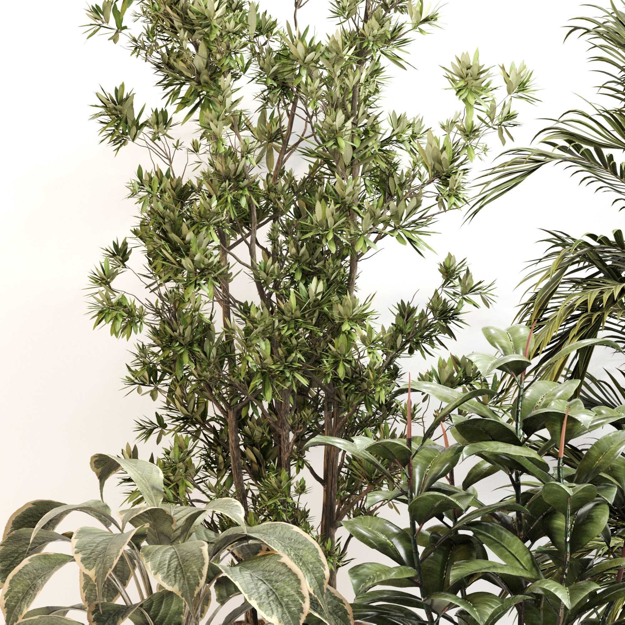 Indoor Plant Set 0116 3D model_4