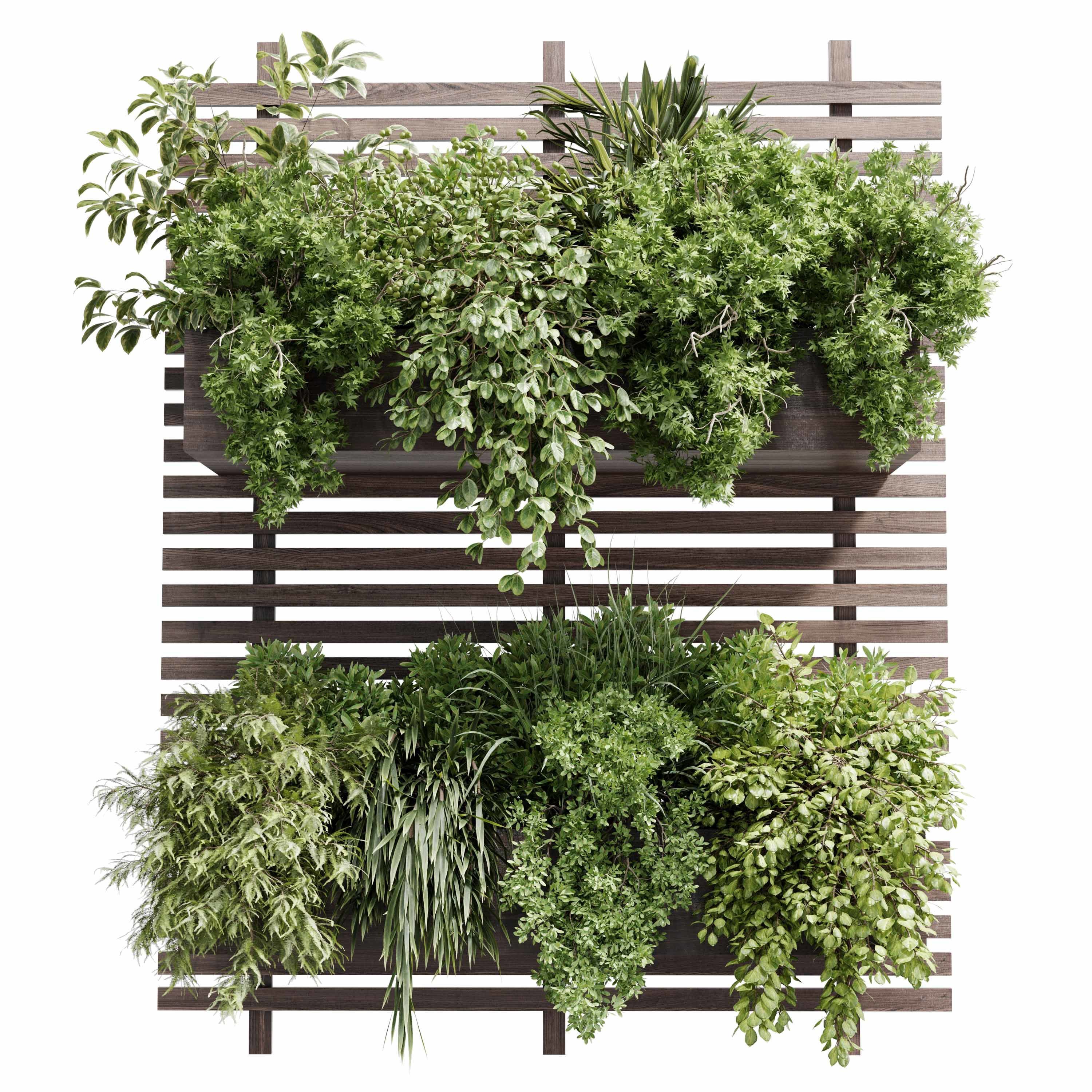 wall plant - hanging plants - outdoor plant set 214 3D model_1