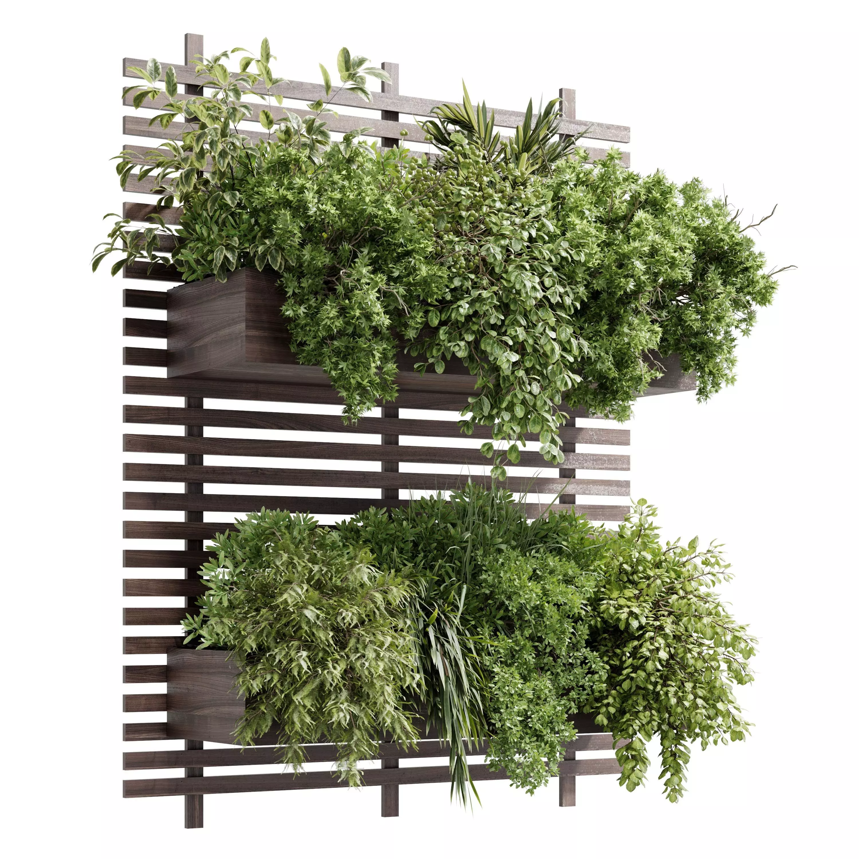 wall plant - hanging plants - outdoor plant set 214 3D model_0