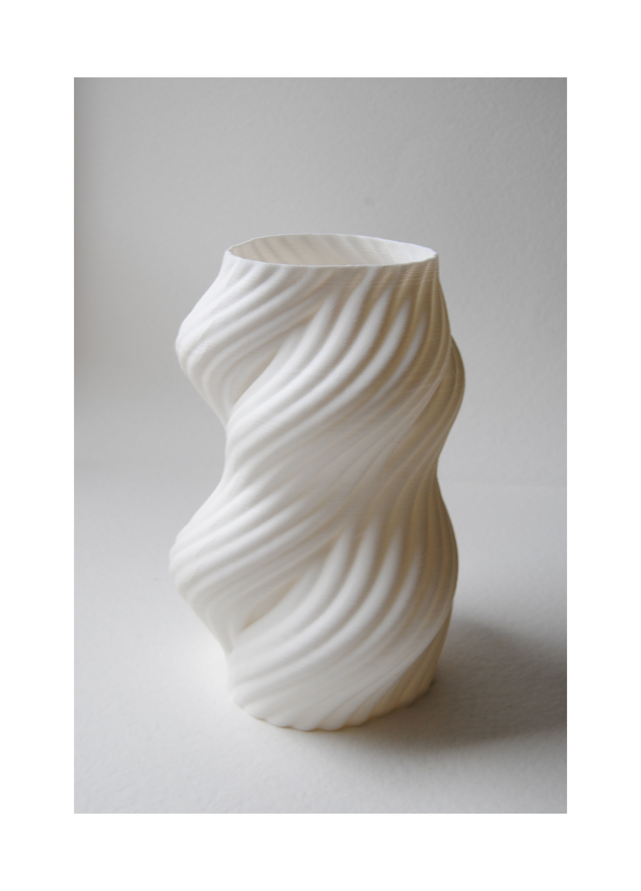 Organic Vase 3D print model_1
