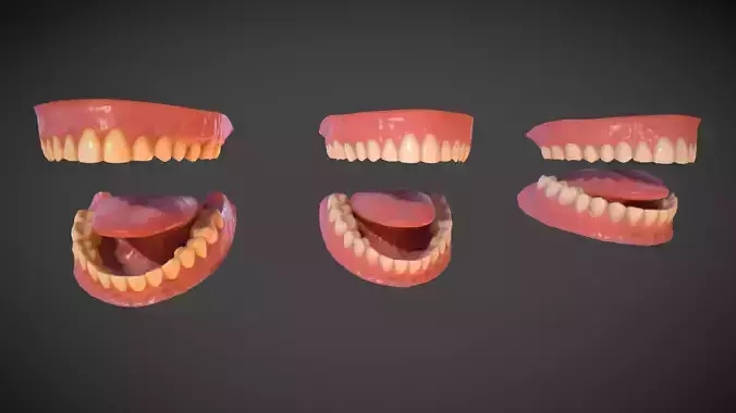 Teeth Low-poly 3D model