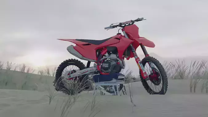 Beach Scene - Sand Dunes