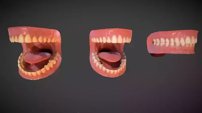 Teeth and mouth cavity