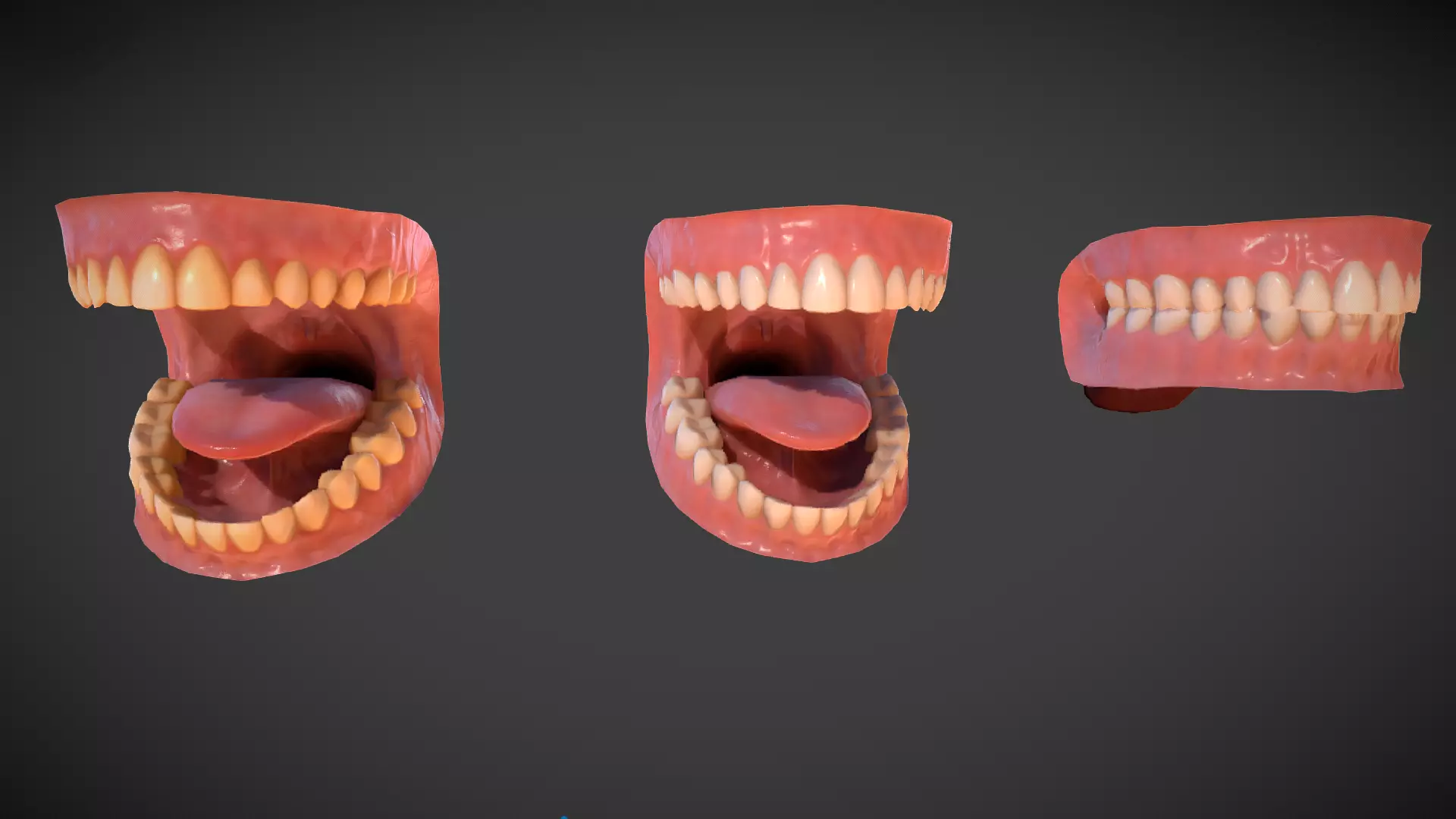Teeth and mouth cavity Low-poly 3D model