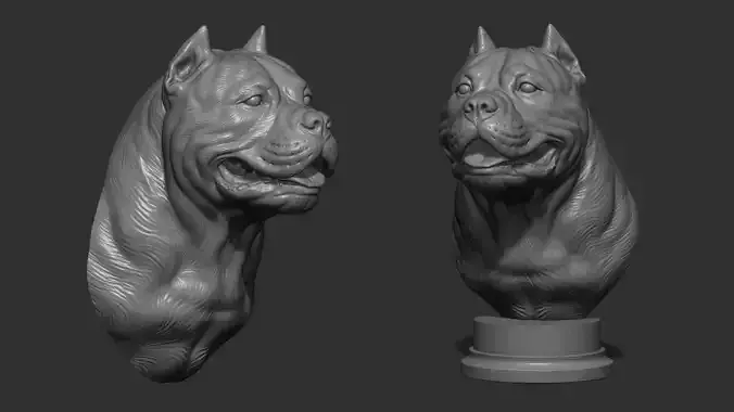 American bully head version 2 3D print model