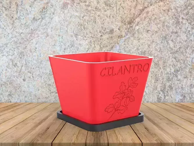 Cilantro Herb Pot Planter 3D print model