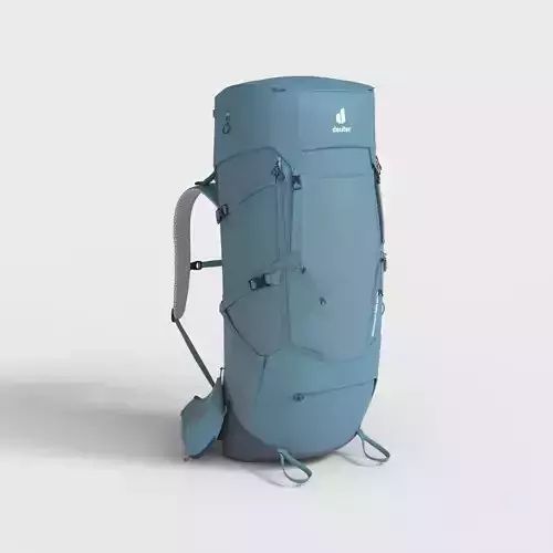DEUTER TRAVELLING BACKPACK