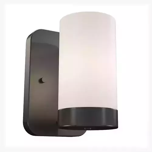 Elevate 1-Light Bath Vanity Wall Light