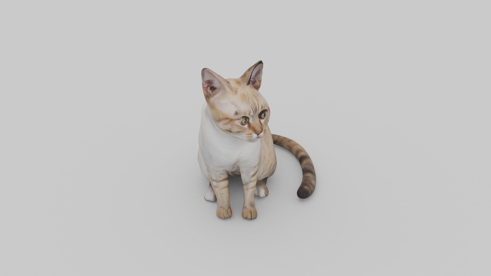 cute cat Low-poly 3D model_2