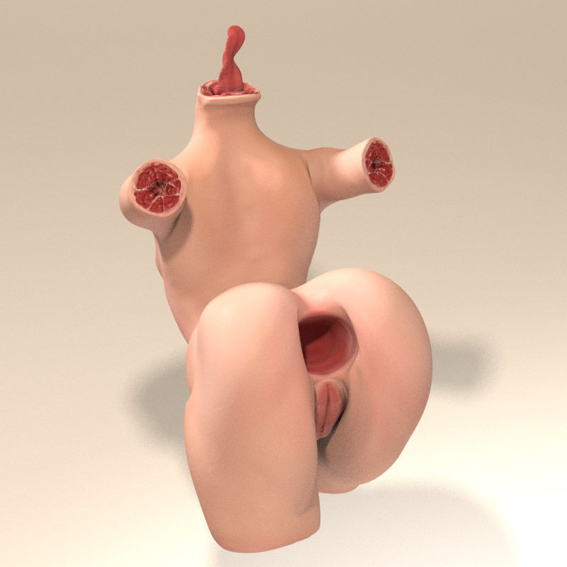 Female Torso with Tongue for Poser or Daz 3D model_7