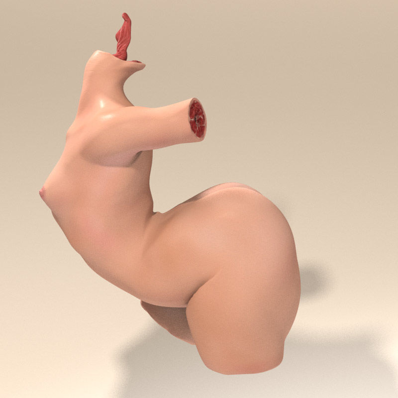 Female Torso with Tongue for Poser or Daz 3D model_8