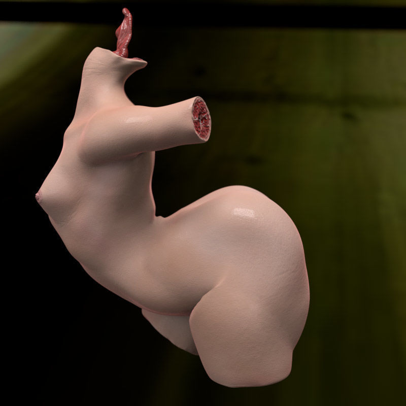 Female Torso with Tongue for Poser or Daz 3D model_5