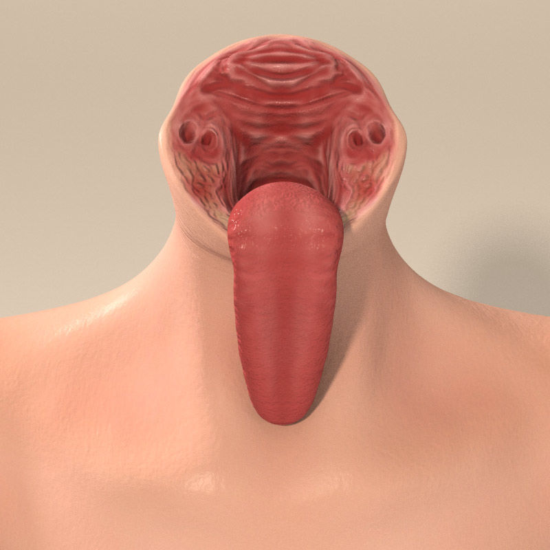 Female Torso with Tongue for Poser or Daz 3D model_4