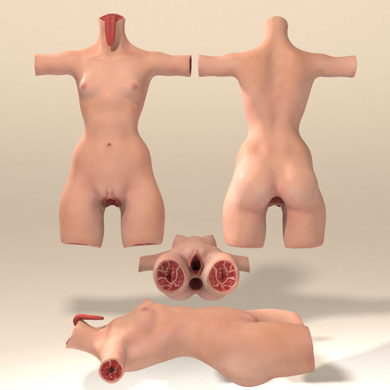 Female Torso with Tongue for Poser or Daz 3D model_11
