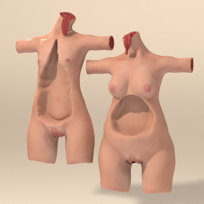 Female Torso with Tongue for Poser or Daz 3D model_9