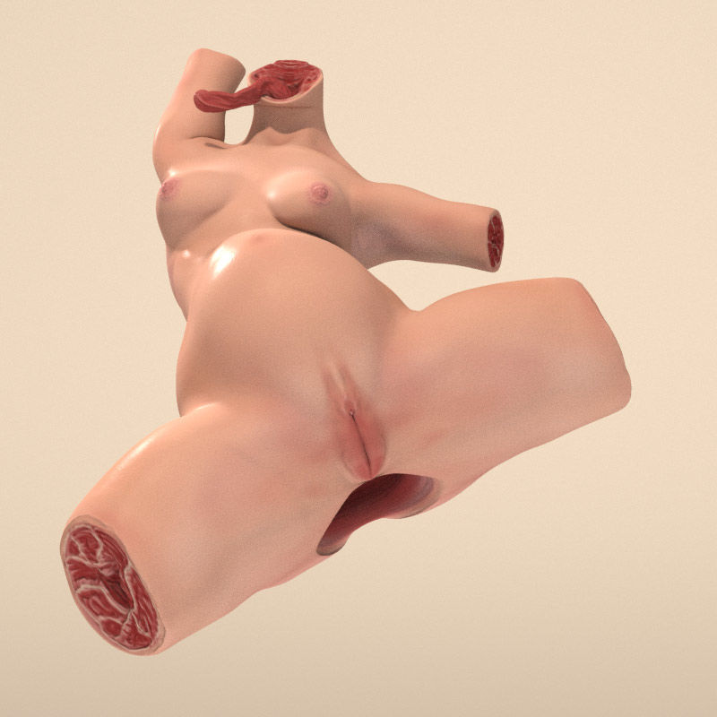Female Torso with Tongue for Poser or Daz 3D model_13