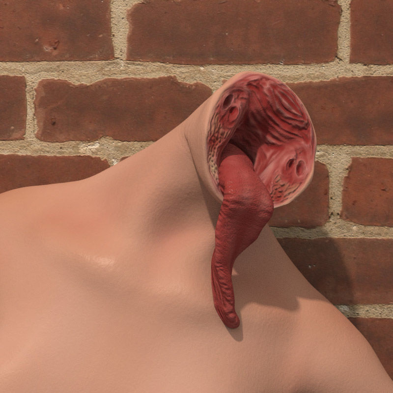 Female Torso with Tongue for Poser or Daz 3D model_2