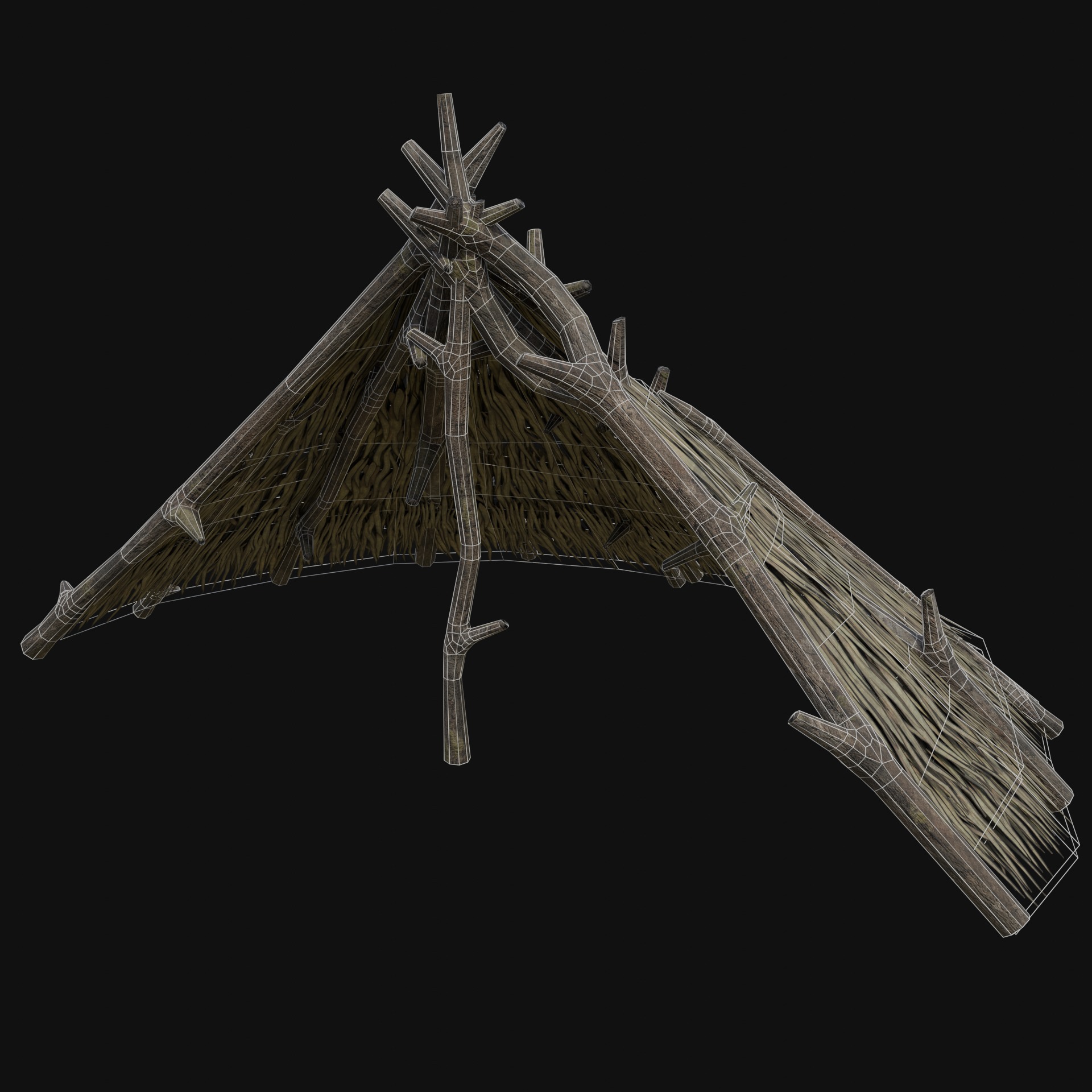 PRIMITIVE SHELTER HUTS COTTAGE HOUSE NATIVE PRIMAL COLLECTION Low-poly 3D model_28