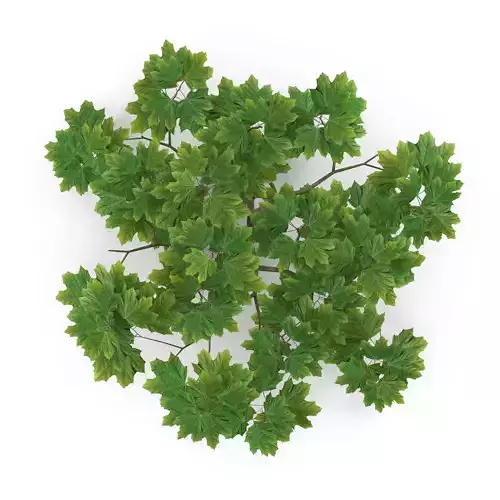 Maple Branch Grean V3