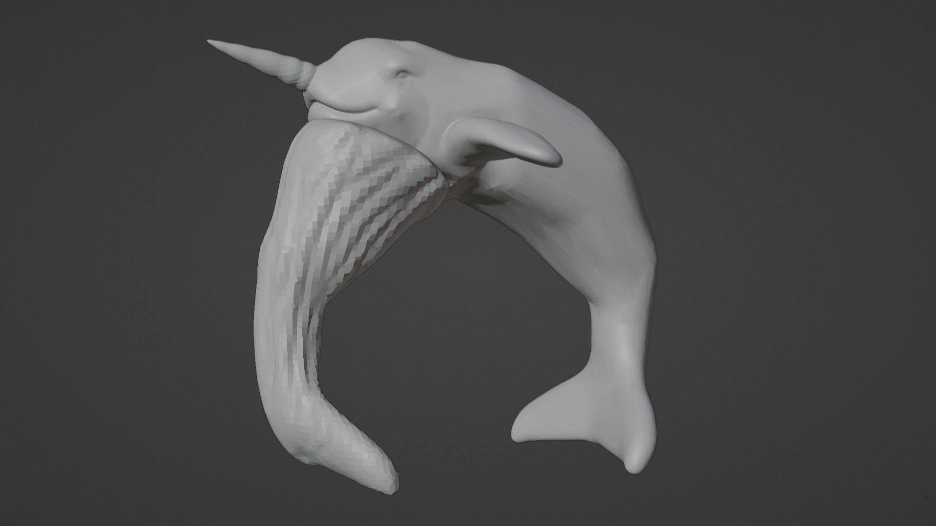 Narwhal 3D Model for Printing  3D print model_58