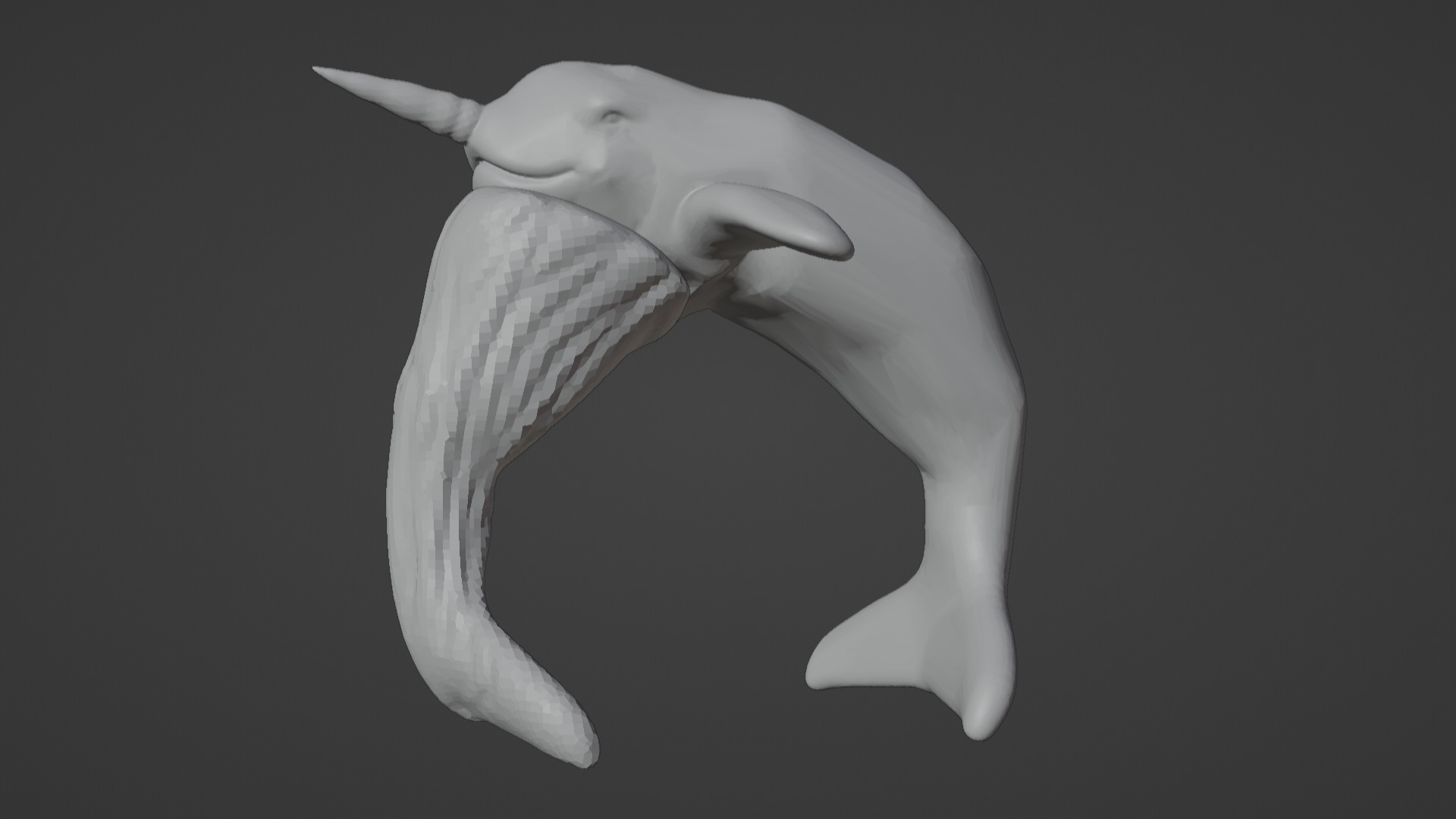 Narwhal 3D Model for Printing  3D print model_59